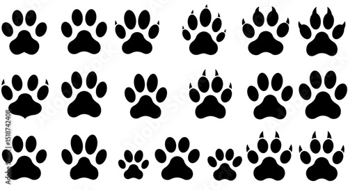 Collection of Various Black Animal Paw Prints