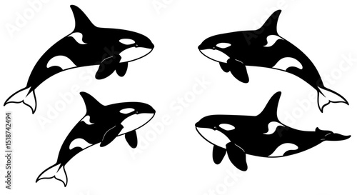Four Stylized Orcas with Distinctive Black and White Patterns