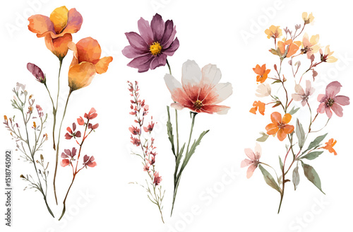 Elegant Watercolor Floral Set Autumnal Hues and Delicate Blooms