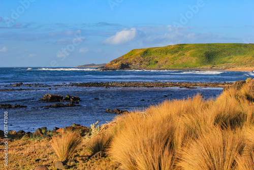 Coastal Grass and Rocky Shore, Phillip Island - 20 September 2011