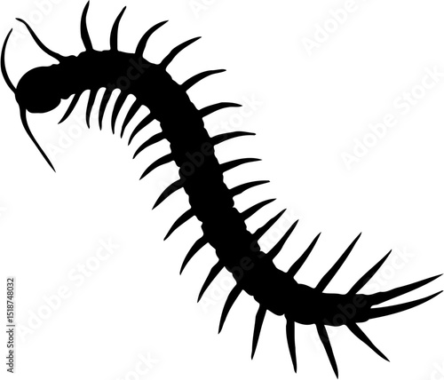 centipede silhouette vector illustration, isolated on white