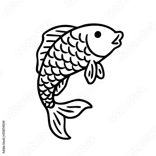 鯉　線画　手書き