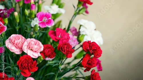 Wallpaper Mural Colorful bouquet of carnations with red, pink, and white blossoms Torontodigital.ca