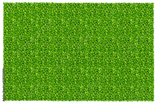 Green grass field background. Texture of green lawn grass. Green grass seamless texture.
