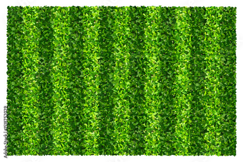 Green grass field background for sports and recreation. Realistic green lawn pattern and texture for background.