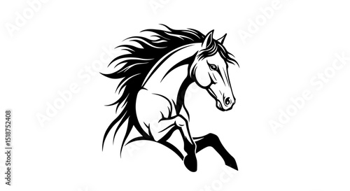 Dynamic Black and White Horse Leaping with Flowing Mane