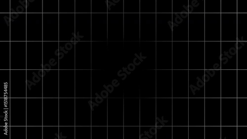 Wallpaper Mural White grid pattern expanding on a black background. Motion Torontodigital.ca