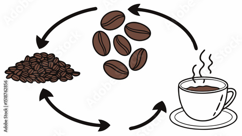 Coffee beans transformation into a brewed cup
