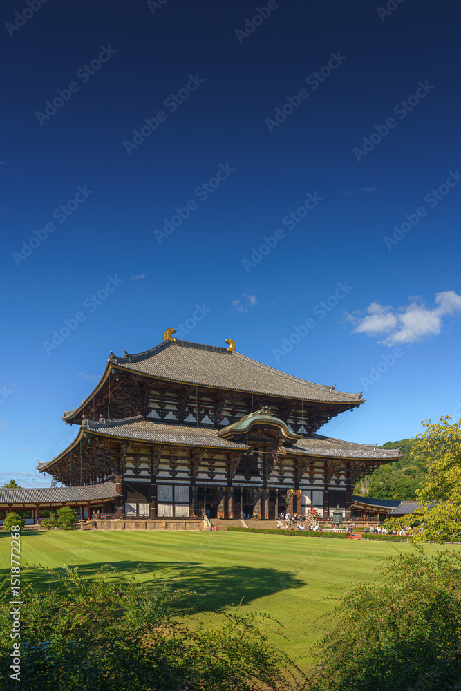 Fototapeta premium Nara, Japan - Sep 26 2024, vertical, Panoramic view of Todaiji Temple with lawn and trees in the foreground, at daytime with clear blue sky, Nara, Japan