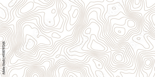 Stylish Topographic Contour Lines Wallpaper – Elevation Map-Inspired Vector Design.Elegant Topography Line Art – Seamless Background with Elevation Contour Map Style.