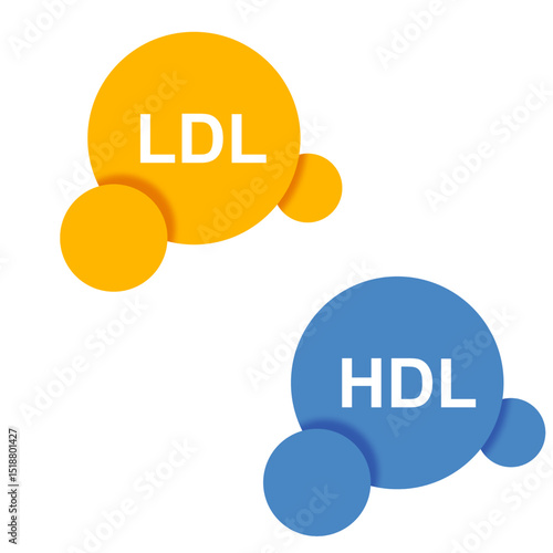 LDL and HDL