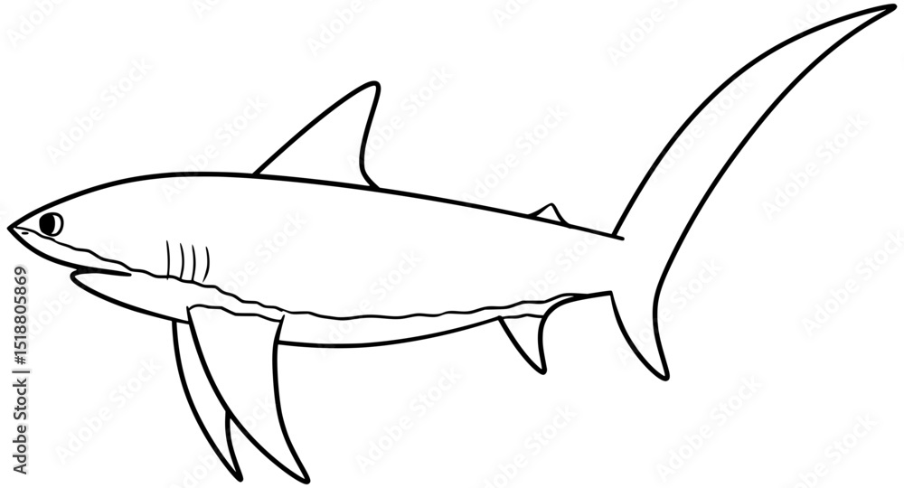 Fototapeta premium Thresher Shark Vector Outline Line Art Drawing