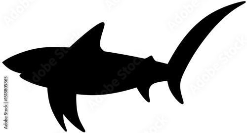 Valokuva Thresher Shark Silhouette Vector Shadow Illustration