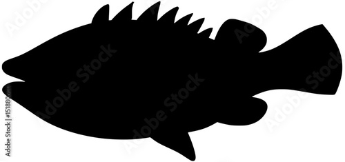 Rock Hind Silhouette Fish Vector Shadow Illustration