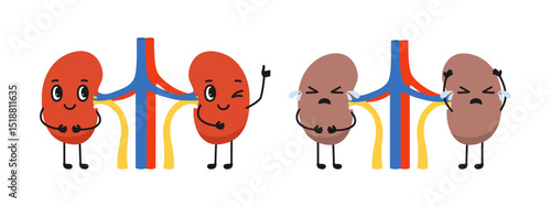 Two kidneys healthy and unhealthy cartoon childish illustration. Happy kidney giving thumbs up and sad sick body organ anatomy character. Check health internal organ care poster, vector comic poster