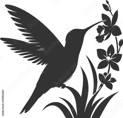 Flying hummingbird vector silhouette with flower