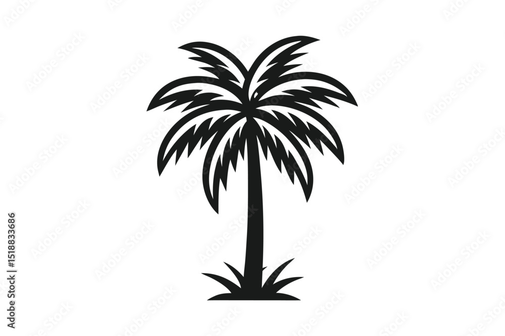 Black Silhouette of a Palm Tree on a White Background Black Silhouette of a Palm Tree on a White Background