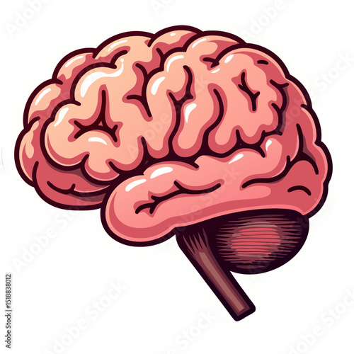 Illustration of a Human Brain: Anatomical, Neuroscience, Education, Learning Concept