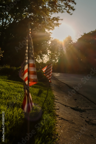 patriotic design element with american flags staked in the ground and lining the street at sunset. defocused background with bright light from the sun. vertical banner or design for national holidays