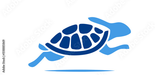 turtle vector illustration