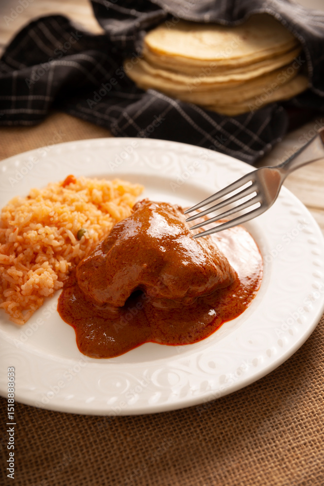 Pipian with Chicken, food from Mexico and other Latin American countries, chicken meat bathed in mole sauce made with pumpkin seeds, dried chili peppers and several other ingredients. Pipian with Chicken, food from Mexico and other Latin American countries, chicken meat bathed in mole sauce made with pumpkin seeds, dried chili peppers and several other ingredients.