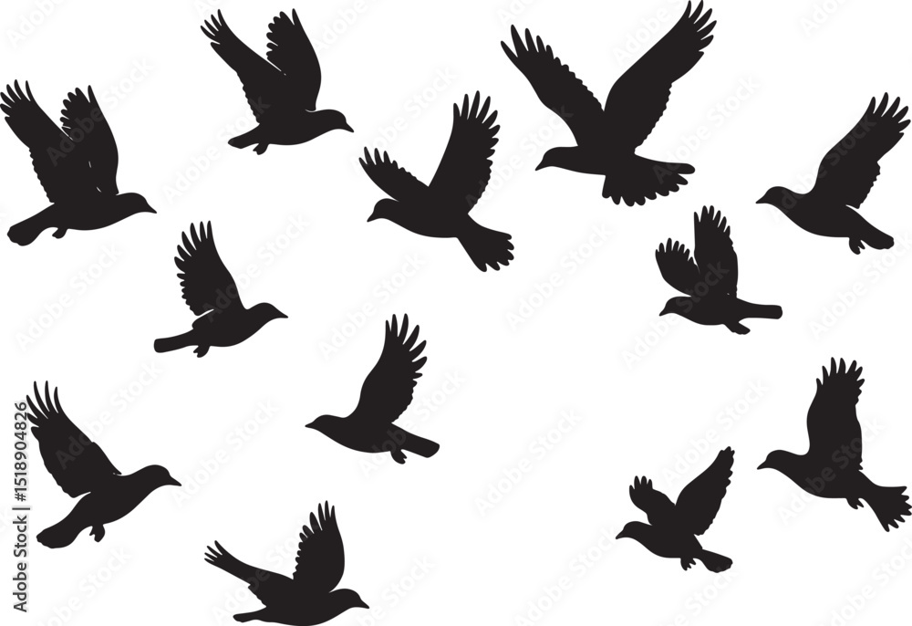 Obraz premium silhouettes of birds