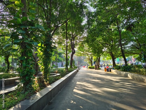 Photography A shady outdoor green park with green trees and cool air in summer
