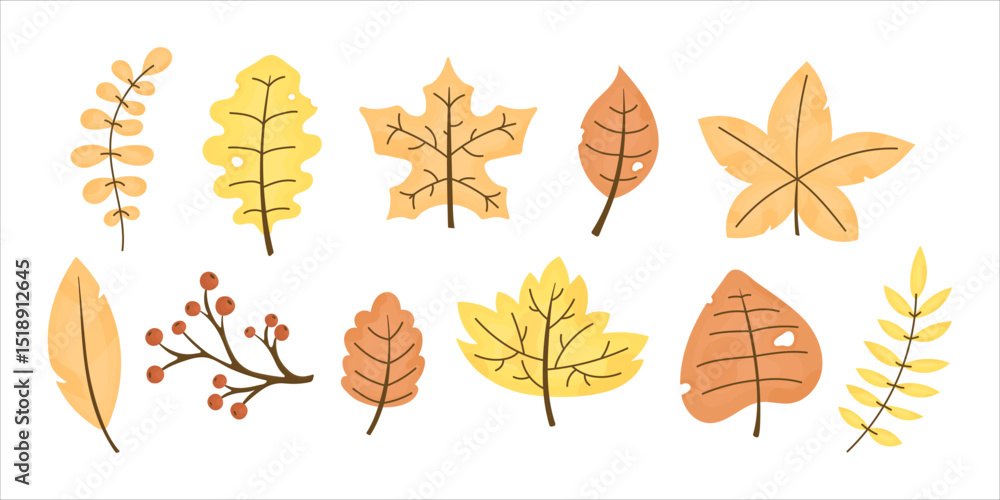 Obraz premium Set of autumn leaves. Autumn foliage.