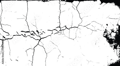 Abstract vector grunge crack texture with distressed black lines on white background. Cracked texture image. Vector illustration.