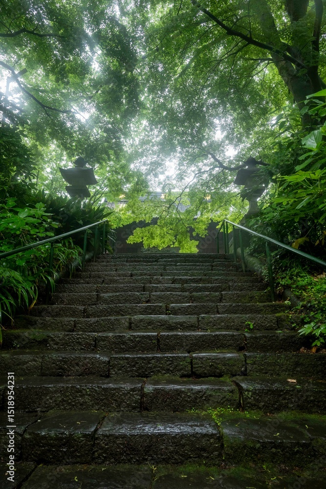 Obraz premium 鎌倉2506 妙本寺2 二天門