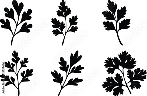 A collection of stylized parsley sprigs in black silhouette against white backdrop