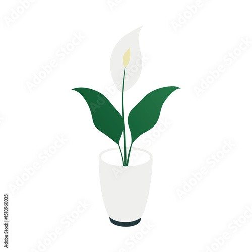 Peace lily houseplant in white pot simple illustration