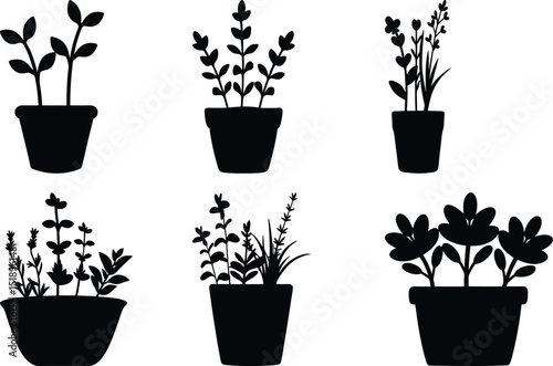 Collection of six black and white potted plant silhouettes for decoration