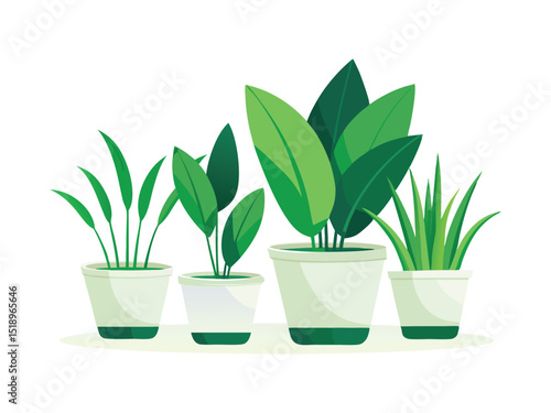 Four green houseplants in pots isolated on white background
