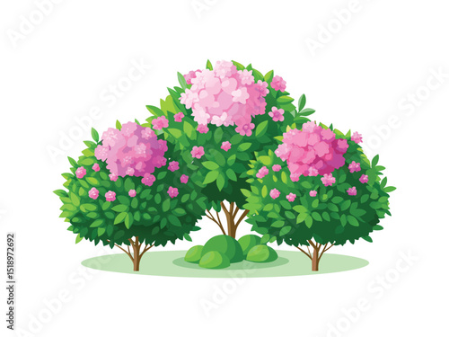  blooming pink flower bushes isolated on white background
