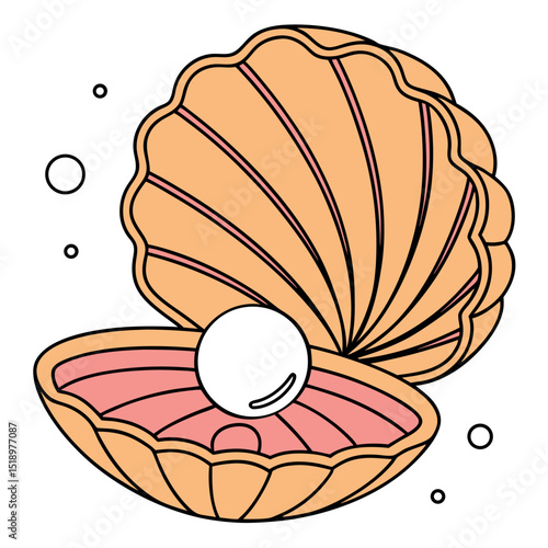 Beautiful Oyster Shell With A White Pearl