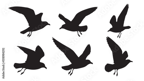 set of 6 seagull silhoutte vector