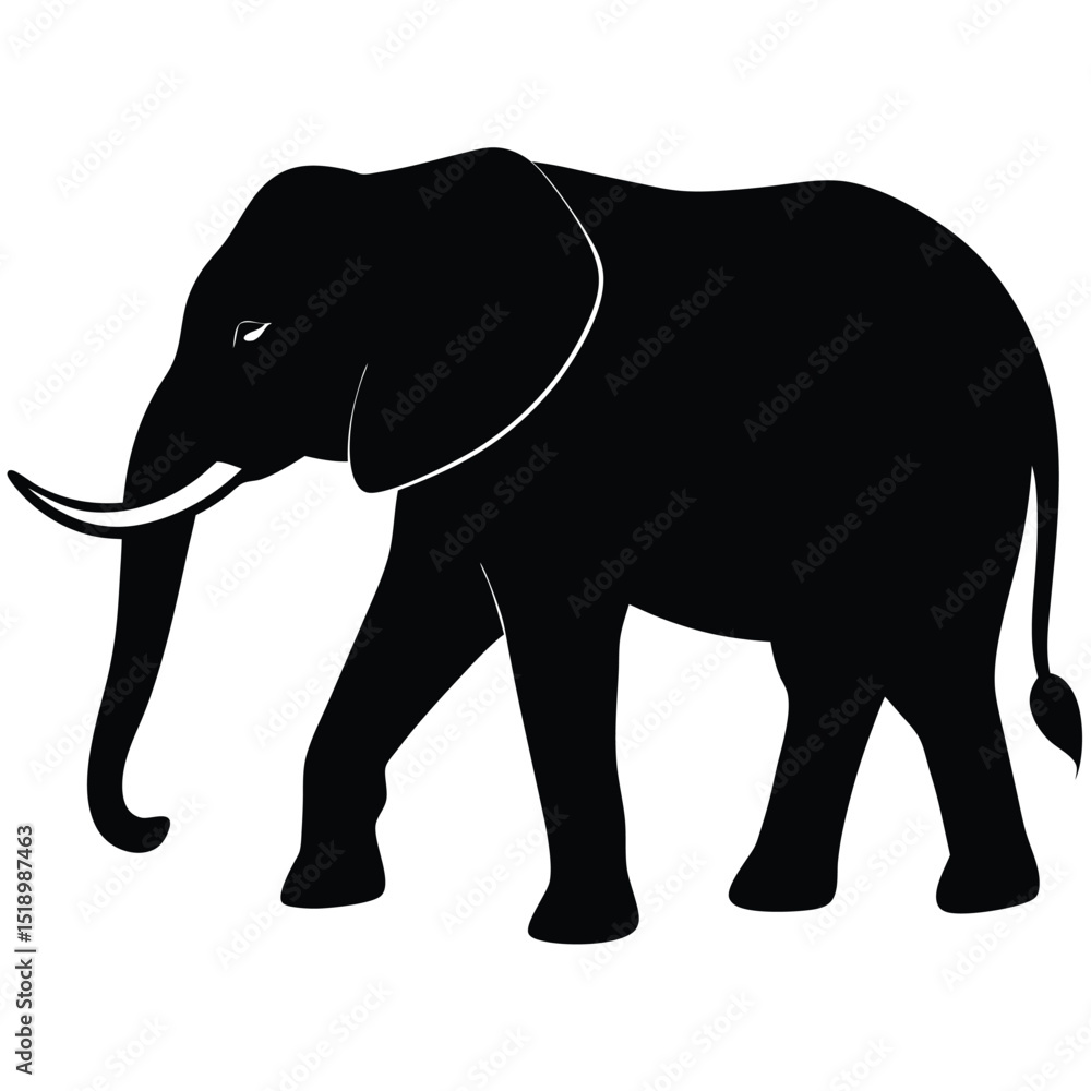Obraz premium Silhouette of an African Elephant with Tusks Walking on a White Background