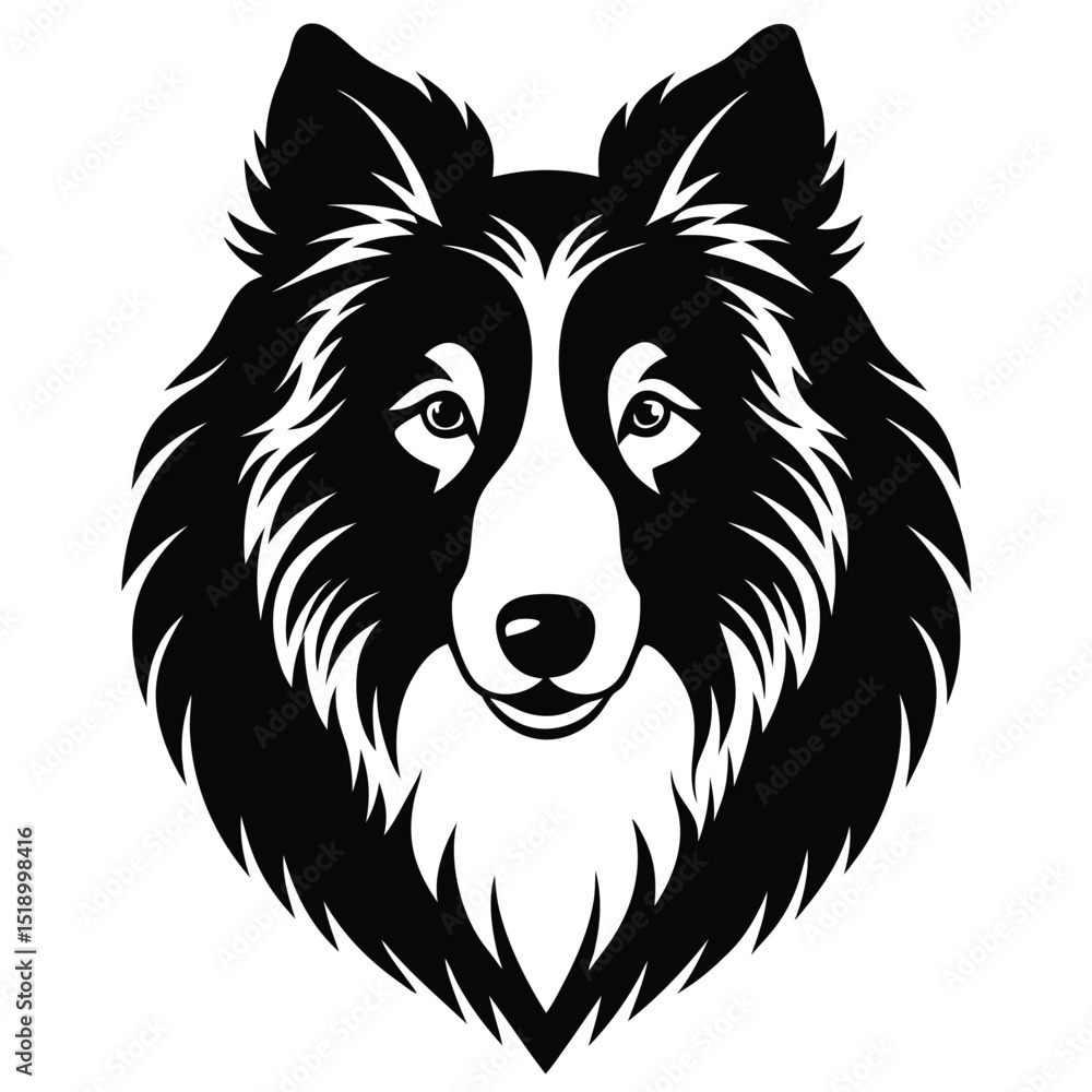 Fototapeta premium Collie dog head illustration on white background