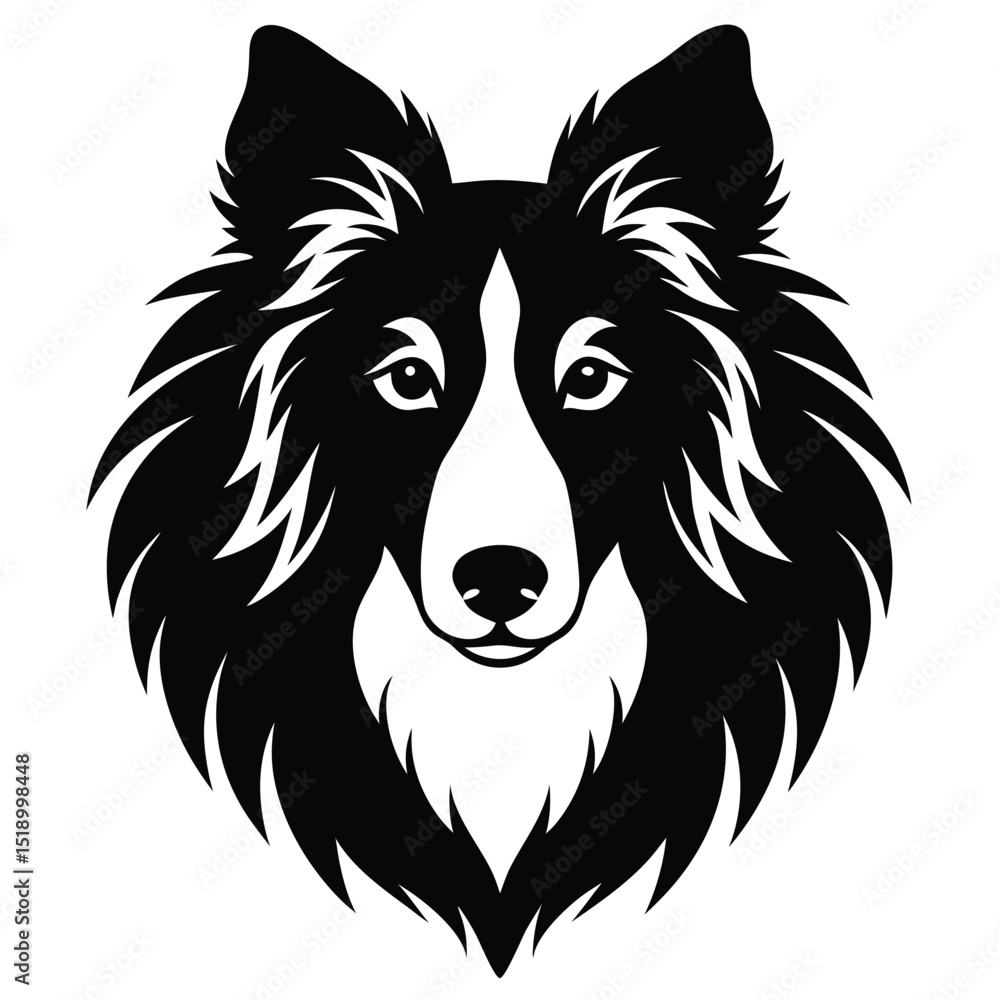 Fototapeta premium Collie dog head illustration on white background