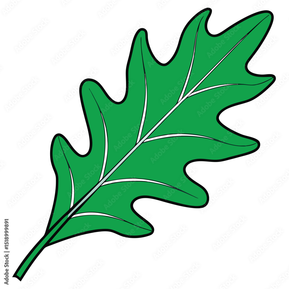 Naklejka premium Single green leaf on white background design element