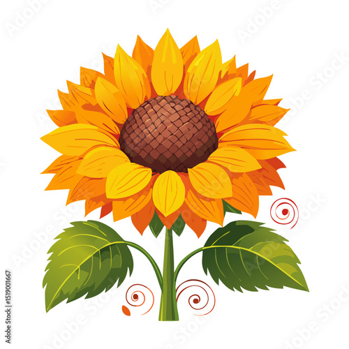 Sunflower flower color vector illustration. Drawing of agroculture for oil production on isolated background. For packaging and design