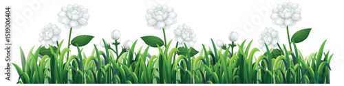 White Clover Blossoms in Lush Green Grass
