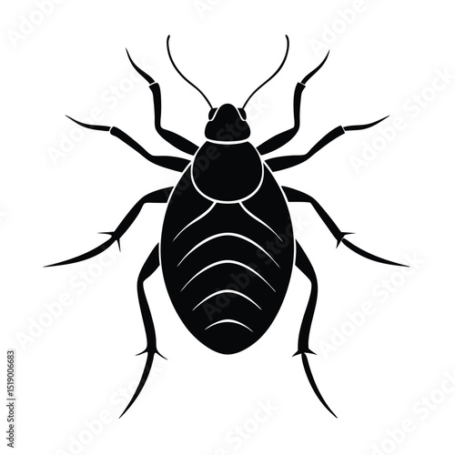 black fly isolated on white background