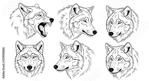 Six Detailed Black and White Wolf Head Illustrations