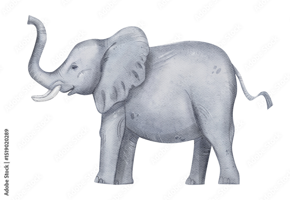 Obraz premium Watercolor Safari Elephant Clipart Set in Hand-painted Style