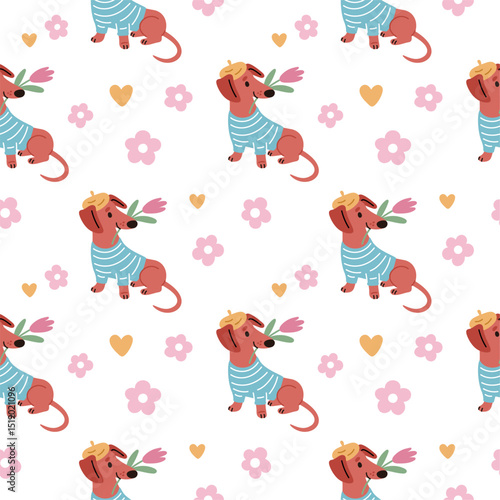 Funny dachshunds seamless pattern. Cute romantic dog hold tulip, animal clothing, repeated happy pet with flower. Textile, wrapping, wallpaper. Print for fabric, garish vector background