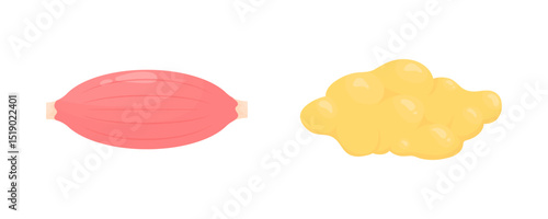 Muscles and fat. Medical illustrations.