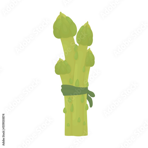 Several asparagus. Healthy food. Vegetarianism concept.