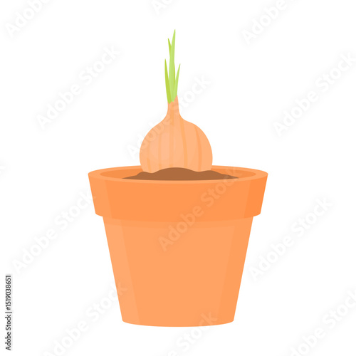 Onions in a pot with soil. Homemade onions.
